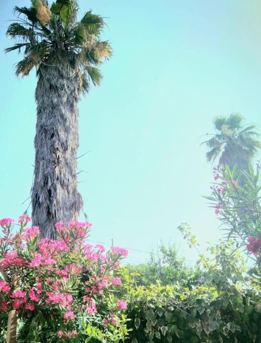 La Casetta Colorata Ξενοδοχείο Κατάνια Εξωτερικό φωτογραφία